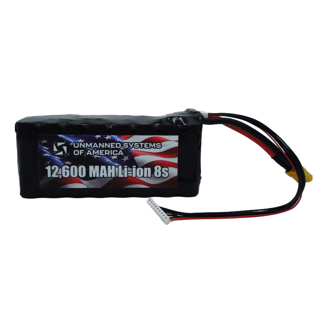 12,600 Mah Lithium-Ion 8S Battery