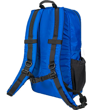 LV 14L Day Pack Turquoise
